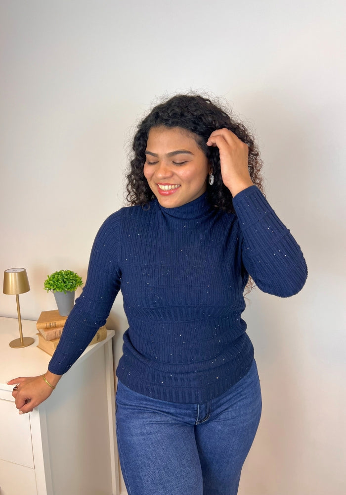 Suéter Cisne Brillantes