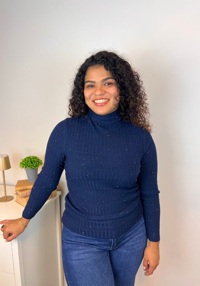 Suéter Cisne Brillantes